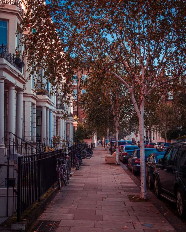 Kensington London roofs